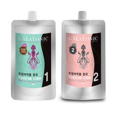 갈라토닉 새치용 오징어먹물 1제 500ml + 2제 500ml, 4N 자연갈색, 1세트